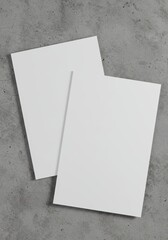 Mockup Two White Papers on Gray Concrete Background Template