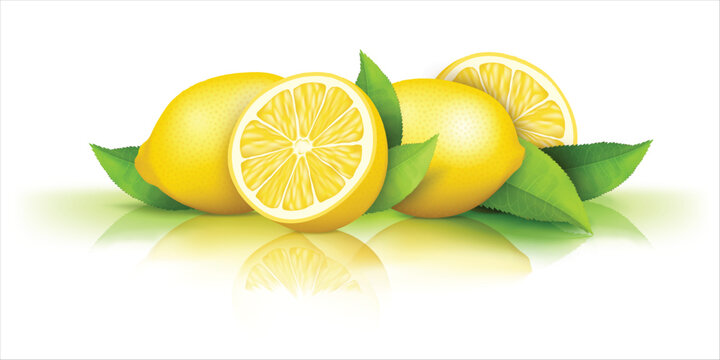Realistic illustration of a whole and half lemon