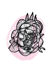 A4, A3, Peony line art vector hand drawn illustration. Art print with beautiful and elegant black and pink spring flower. Highly detailed and high quality graphic asset for online and print.