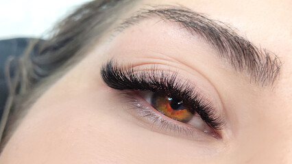 .Close up of female eye with eyelash extensions ,eyelash extension procedure.