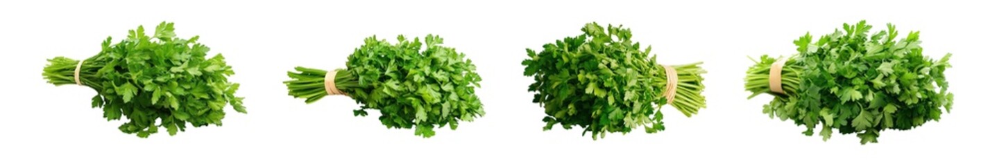 Fototapeta premium Multiple bunches of vibrant green herbs isolated on transparent background