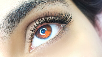 .Close up of female eye with eyelash extensions ,eyelash extension procedure.