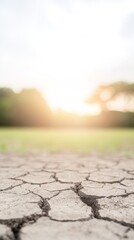Obraz premium Close-up view of cracked, dry earth in front of a blurred, sunlit landscape