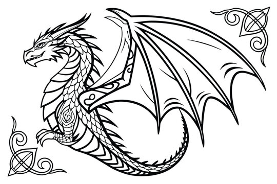 65 Intricate dragon illustration, black and white line art, detailed scales and patterns, zentangle style, extended wings, fierce expression, fantasy creature, mythical beast, ornate design, symmetric