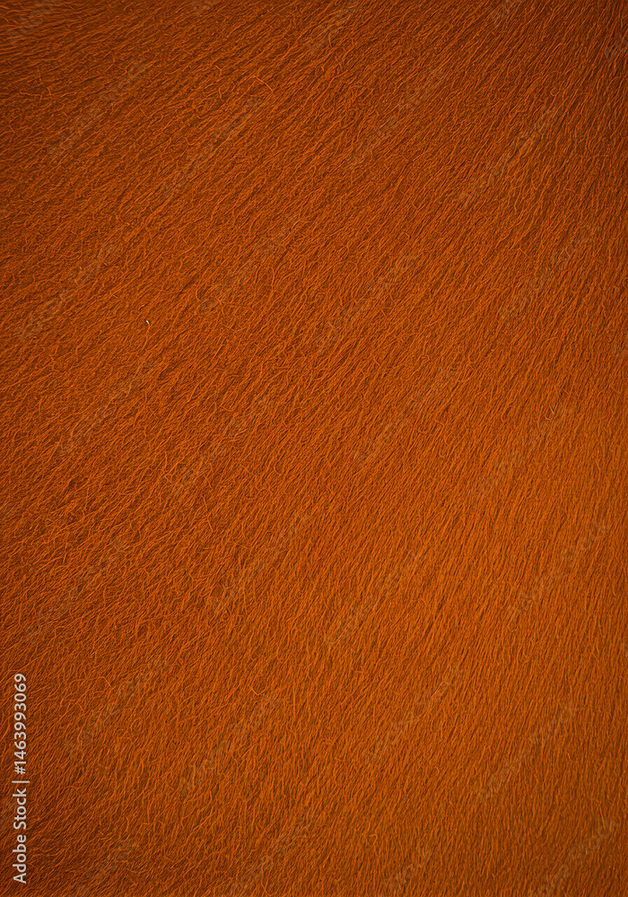 Poster orange abstract texture background design pattern surface