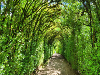 Pasaje verde