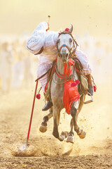 Tent Pegger,
A tent pegger running to get the target. A cultural sport of Punjab Pakistan.