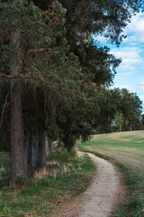 St. Olav Ways leading through the cultural Landscape of Toten, Norway, in May.