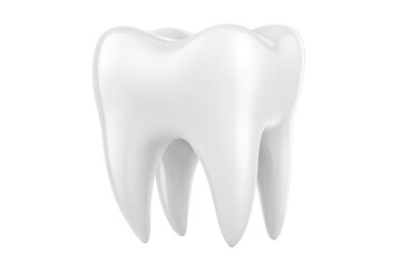 Isolated Single White Tooth with Detailed Surface