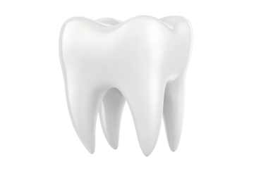 Isolated Single White Tooth with Detailed Surface