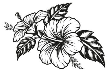67 Black and white botanical illustration, hibiscus flower, intricate woodcut style, high contrast, detailed petals and leaves, vintage engraving technique, bold linework, tropical floral design, symm