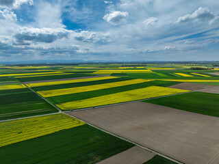 Aerial drone view of beautiful yellow fields rapeseed.Village country farming shapes in fields....