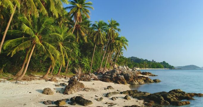 Tropical beach with palm trees rising on the white sand and rocks on the shore of Koh Samui, Thailand, bathed in sunlight with crystal-clear turquoise water
