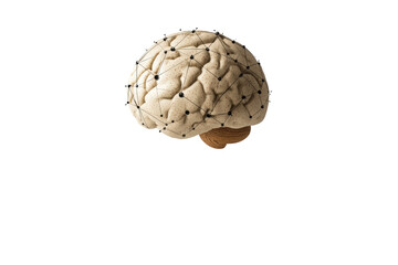 Obraz premium Isolated Connected Brain Structure Network Illustration