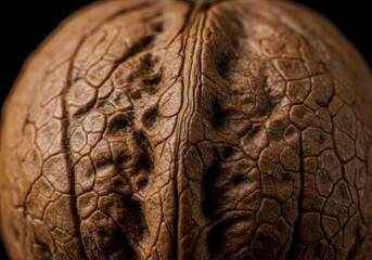 Photo of Detailed Brown Walnut Shell Texture Macro Food Close-Up