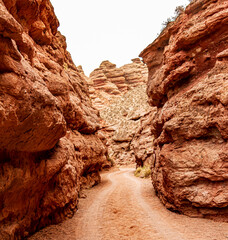 red canyon in the desert