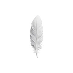 Single White Feather on Black Background - Minimalist Nature Photography