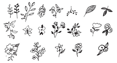 Set of simple vector Hand Drawn Floral and Leaf