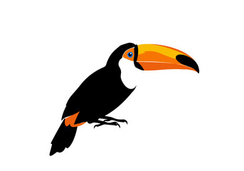 Naklejka premium Minimalist vector drawing of a toucan bird with a large vibrant orange and yellow beak, perched on a branch. Ideal for nature themes, tropical designs, and educational graphics.
