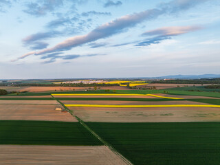 Aerial drone view of beautiful yellow fields rapeseed.Village country farming shapes in fields....