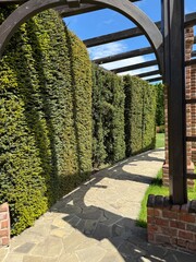 Garden stone path with garden design elements nearby. Fragment of a botanical garden.
