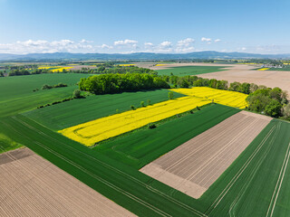 Aerial drone view of beautiful yellow fields rapeseed.Village country farming shapes in fields. Spring fields of yellow blooming rapeseed, growing plants. Fields in the Opole village from a drone.