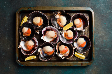 Seafood. Metal tray with Fresh Sea Scallops in shells. On a dark stone background. Top view.