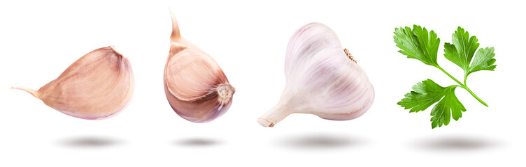 garlic isolated on white background. clipping path