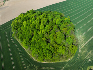 Aerial drone view of beautiful yellow fields rapeseed.Village country farming shapes in fields. Spring fields of yellow blooming rapeseed, growing plants. Fields in the Opole village from a drone.