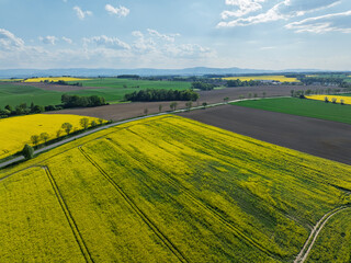 Aerial drone view of beautiful yellow fields rapeseed.Village country farming shapes in fields....