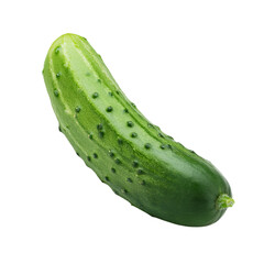 Fresh Green Cucumber on White Background
