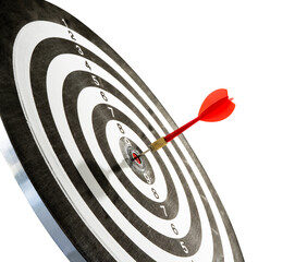 dart on target success isolated