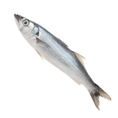 Obraz premium Fresh Whole Fish Isolated on White Background