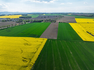 Aerial drone view of beautiful yellow fields rapeseed.Village country farming shapes in fields. Spring fields of yellow blooming rapeseed, growing plants. Fields in the Opole village from a drone.