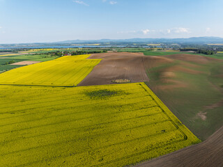 Aerial drone view of beautiful yellow fields rapeseed.Village country farming shapes in fields....