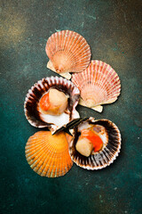 Raw fresh scallops in the shell. Close-up on a dark stone background. Vertical photo. Top view.