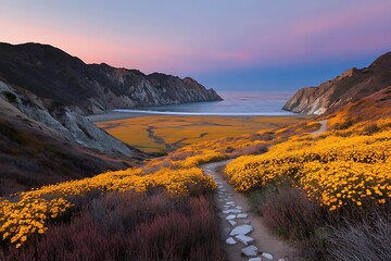 Scenic Coastal Trail Through Vibrant Yellow Wildflowers at Sunset A Stunning View of Ocean and Cliffs
