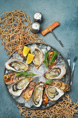 Fresh oysters with lemon and spices on a metal plate with ice. On a gray stone background. Top...
