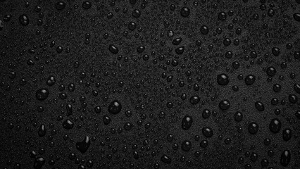 Water drops on a black background. Textured surface for design or text. Top view. Free space.