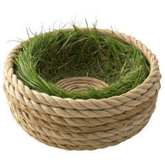 Obraz premium basket with grass