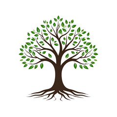 Set of tree illustrations in different shapes and styles