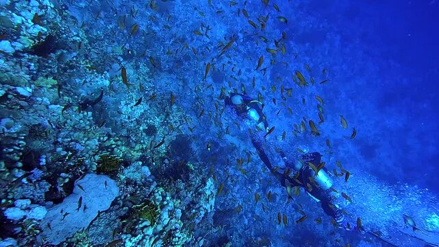 Divers from above swimming next to a coral reef