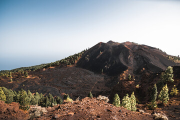 Scenic view of volcanic landscape with canary pine trees growing near mount teide in tenerife,...