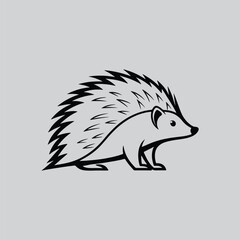 Porcupine Artwork for T-Shirts