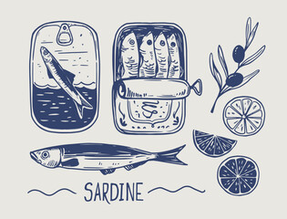 Sardines in a can, fish, seafood, vector illustration set, hand drawn sketch