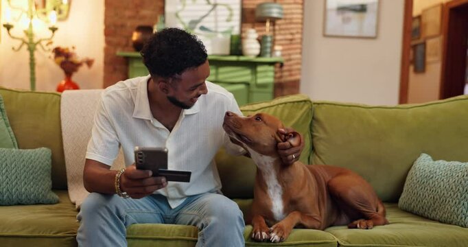 Man, home and smartphone with credit card for dog, pet insurance or purchase with animal ecommerce. Stroke, happy and friendly male person with puppy, mobile banking or online shopping at house