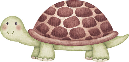 Watercolor illustration of a cute cartoon turtle on a transparent background.