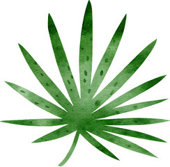 Watercolor illustration of a green palm leaf on a transparent background.