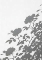 Naklejka premium Shadowed Rose Illustration On White Background Abstract Floral Art Design