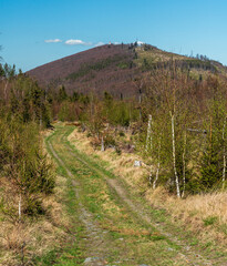 Biskupska kupa hill in Zlatohorska vrchovina mountains on czech - polish borders